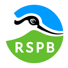 RSPB Games and Activities